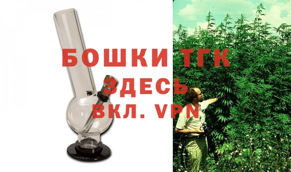мет Алексин