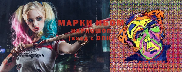 мет Алексин