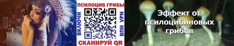 Псилоцибиновые грибы Cubensis  закладки  Неман 
